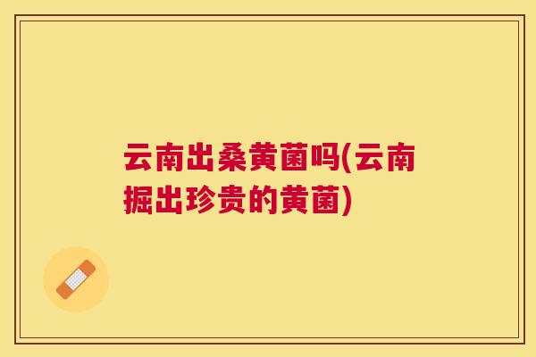 云南出桑黄菌吗(云南掘出珍贵的黄菌) 云南出桑黄菌吗(云南掘出珍贵的黄菌)