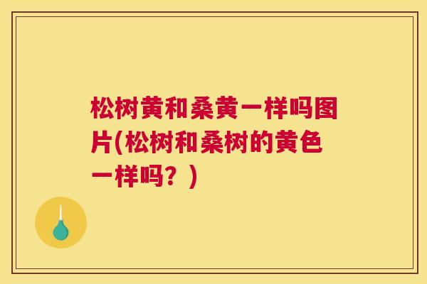 松树黄和桑黄一样吗图片(松树和桑树的黄色一样吗?) 松树黄和桑黄一样吗图片(松树和桑树的黄色一样吗?)