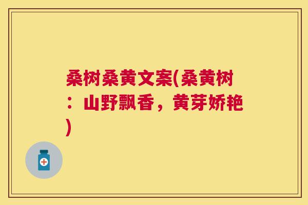 桑树桑黄文案(桑黄树:山野飘香,黄芽娇艳) 桑树桑黄文案(桑黄树:山野飘香,黄芽娇艳)