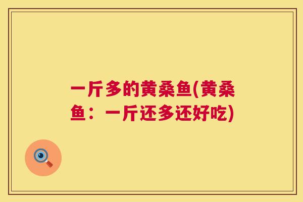 一斤多的黄桑鱼(黄桑鱼:一斤还多还好吃) 一斤多的黄桑鱼(黄桑鱼:一斤还多还好吃)