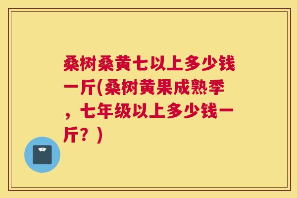 桑树桑黄七以上多少钱一斤(桑树黄果成熟季,七年级以上多少钱一斤?) 桑树桑黄七以上多少钱一斤(桑树黄果成熟季,七年级以上多少钱一斤?)