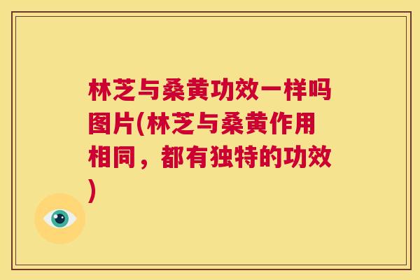 林芝与桑黄功效一样吗图片(林芝与桑黄作用相同,都有独特的功效) 林芝与桑黄功效一样吗图片(林芝与桑黄作用相同,都有独特的功效)