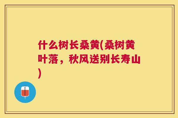什么树长桑黄(桑树黄叶落,秋风送别长寿山) 什么树长桑黄(桑树黄叶落,秋风送别长寿山)