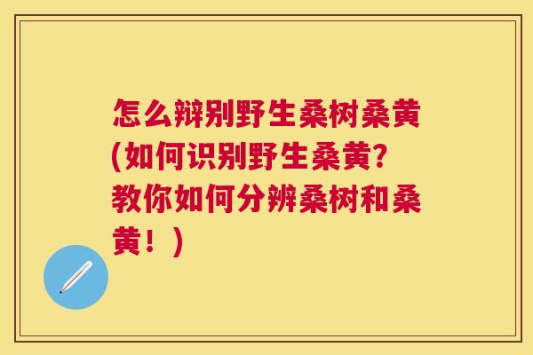 怎么辩别野生桑树桑黄(如何识别野生桑黄?教你如何分辨桑树和桑黄!) 怎么辩别野生桑树桑黄(如何识别野生桑黄?教你如何分辨桑树和桑黄!)