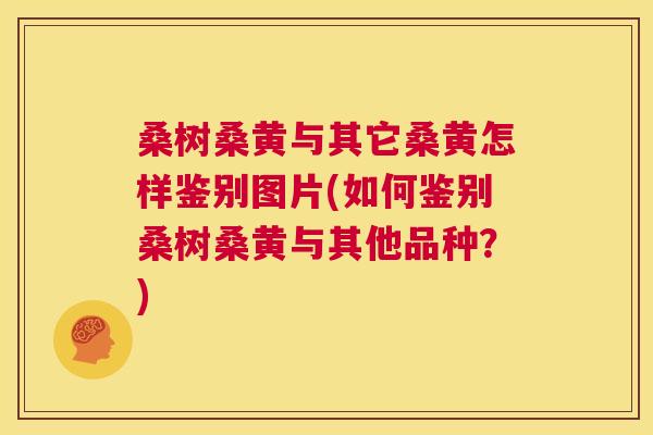 桑树桑黄与其它桑黄怎样鉴别图片(如何鉴别桑树桑黄与其他品种?) 桑树桑黄与其它桑黄怎样鉴别图片(如何鉴别桑树桑黄与其他品种?)