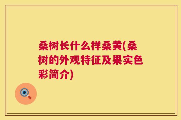 桑树长什么样桑黄(桑树的外观特征及果实色彩简介) 桑树长什么样桑黄(桑树的外观特征及果实色彩简介)