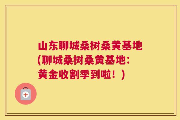 山东聊城桑树桑黄基地(聊城桑树桑黄基地:黄金收割季到啦!) 山东聊城桑树桑黄基地(聊城桑树桑黄基地:黄金收割季到啦!)