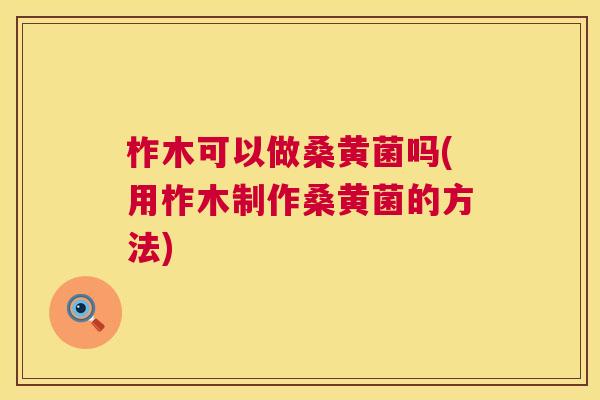 柞木可以做桑黄菌吗(用柞木制作桑黄菌的方法) 柞木可以做桑黄菌吗(用柞木制作桑黄菌的方法)
