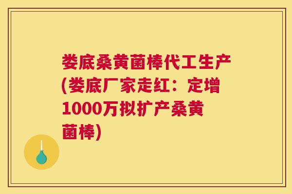 娄底桑黄菌棒代工生产(娄底厂家走红:定增1000万拟扩产桑黄菌棒) 娄底桑黄菌棒代工生产(娄底厂家走红:定增1000万拟扩产桑黄菌棒)