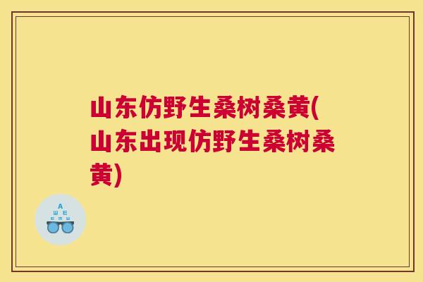 山东仿野生桑树桑黄(山东出现仿野生桑树桑黄) 山东仿野生桑树桑黄(山东出现仿野生桑树桑黄)