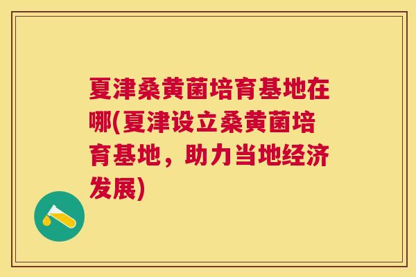 夏津桑黄菌培育基地在哪(夏津设立桑黄菌培育基地,助力当地经济发展) 夏津桑黄菌培育基地在哪(夏津设立桑黄菌培育基地,助力当地经济发展)