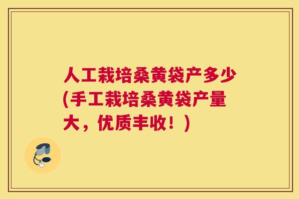 人工栽培桑黄袋产多少(手工栽培桑黄袋产量大,优质丰收!) 人工栽培桑黄袋产多少(手工栽培桑黄袋产量大,优质丰收!)