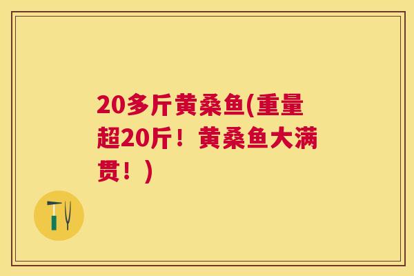 20多斤黄桑鱼(重量超20斤!黄桑鱼大满贯!) 20多斤黄桑鱼(重量超20斤!黄桑鱼大满贯!)