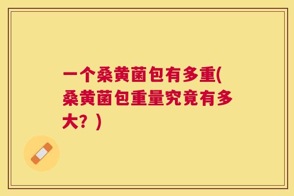 一个桑黄菌包有多重(桑黄菌包重量究竟有多大?) 一个桑黄菌包有多重(桑黄菌包重量究竟有多大?)