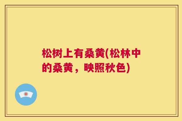 松树上有桑黄(松林中的桑黄,映照秋色) 松树上有桑黄(松林中的桑黄,映照秋色)