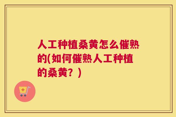 人工种植桑黄怎么催熟的(如何催熟人工种植的桑黄？)