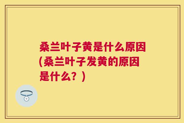桑兰叶子黄是什么原因(桑兰叶子发黄的原因是什么?) 桑兰叶子黄是什么原因(桑兰叶子发黄的原因是什么?)