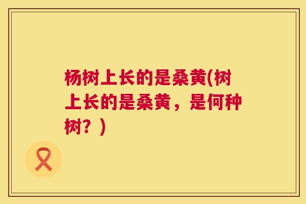 杨树上长的是桑黄(树上长的是桑黄,是何种树?) 杨树上长的是桑黄(树上长的是桑黄,是何种树?)