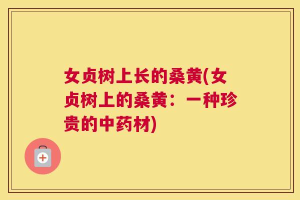 女贞树上长的桑黄(女贞树上的桑黄:一种珍贵的材) 女贞树上长的桑黄(女贞树上的桑黄:一种珍贵的材)