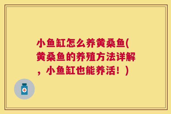 小鱼缸怎么养黄桑鱼(黄桑鱼的养殖方法详解,小鱼缸也能养活!) 小鱼缸怎么养黄桑鱼(黄桑鱼的养殖方法详解,小鱼缸也能养活!)