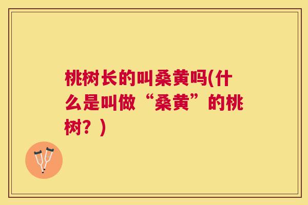桃树长的叫桑黄吗(什么是叫做“桑黄”的桃树?) 桃树长的叫桑黄吗(什么是叫做“桑黄”的桃树?)