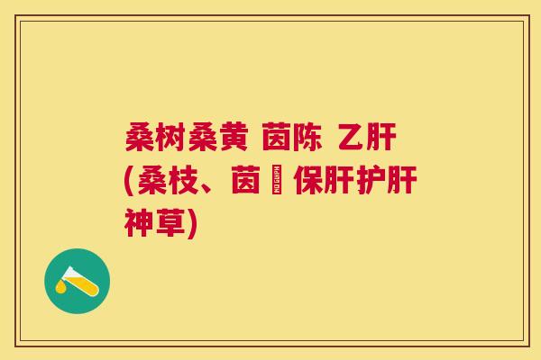 桑树桑黄 茵陈 (桑枝、茵蔯神草) 桑树桑黄 茵陈 (桑枝、茵蔯神草)