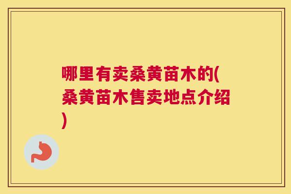 哪里有卖桑黄苗木的(桑黄苗木售卖地点介绍)