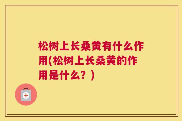松树上长桑黄有什么作用(松树上长桑黄的作用是什么?) 松树上长桑黄有什么作用(松树上长桑黄的作用是什么?)
