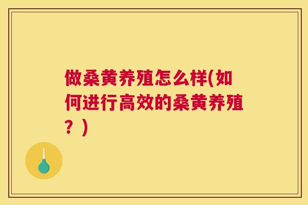 做桑黄养殖怎么样(如何进行高效的桑黄养殖?) 做桑黄养殖怎么样(如何进行高效的桑黄养殖?)