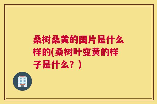 桑树桑黄的图片是什么样的(桑树叶变黄的样子是什么?) 桑树桑黄的图片是什么样的(桑树叶变黄的样子是什么?)