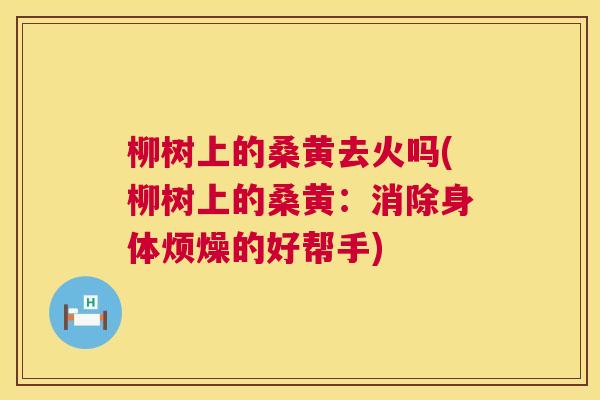 柳树上的桑黄去火吗(柳树上的桑黄:消除身体烦燥的好帮手) 柳树上的桑黄去火吗(柳树上的桑黄:消除身体烦燥的好帮手)