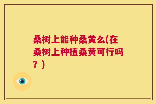 桑树上能种桑黄么(在桑树上种植桑黄可行吗?) 桑树上能种桑黄么(在桑树上种植桑黄可行吗?)