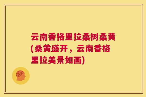 云南香格里拉桑树桑黄(桑黄盛开,云南香格里拉美景如画) 云南香格里拉桑树桑黄(桑黄盛开,云南香格里拉美景如画)