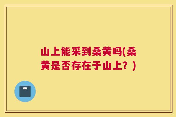 山上能采到桑黄吗(桑黄是否存在于山上?) 山上能采到桑黄吗(桑黄是否存在于山上?)