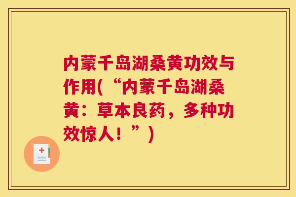 内蒙千岛湖桑黄功效与作用(“内蒙千岛湖桑黄：草本良药，多种功效惊人！”)