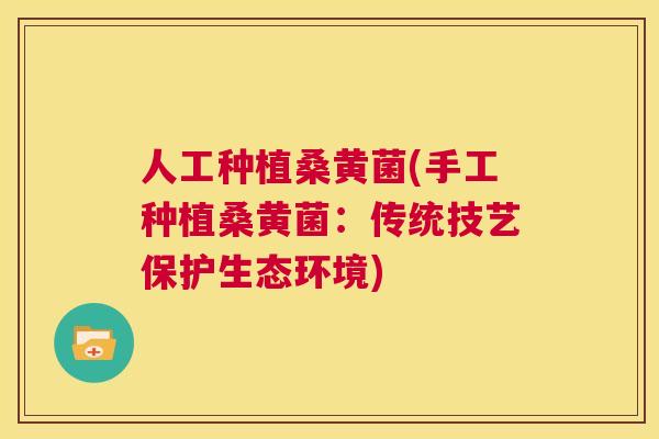 人工种植桑黄菌(手工种植桑黄菌:传统技艺保护生态环境) 人工种植桑黄菌(手工种植桑黄菌:传统技艺保护生态环境)