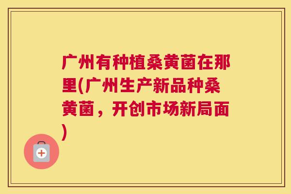 广州有种植桑黄菌在那里(广州生产新品种桑黄菌,开创市场新局面) 广州有种植桑黄菌在那里(广州生产新品种桑黄菌,开创市场新局面)