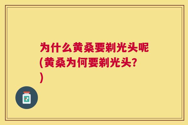 为什么黄桑要剃光头呢(黄桑为何要剃光头?) 为什么黄桑要剃光头呢(黄桑为何要剃光头?)