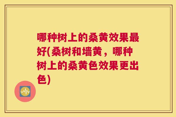 哪种树上的桑黄效果好(桑树和墙黄,哪种树上的桑黄色效果更出色) 哪种树上的桑黄效果好(桑树和墙黄,哪种树上的桑黄色效果更出色)