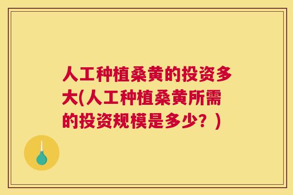 人工种植桑黄的投资多大(人工种植桑黄所需的投资规模是多少?) 人工种植桑黄的投资多大(人工种植桑黄所需的投资规模是多少?)