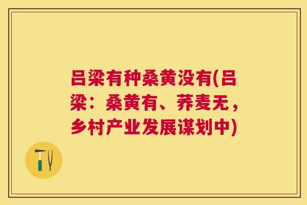 吕梁有种桑黄没有(吕梁:桑黄有、荞麦无,乡村产业发展谋划中) 吕梁有种桑黄没有(吕梁:桑黄有、荞麦无,乡村产业发展谋划中)