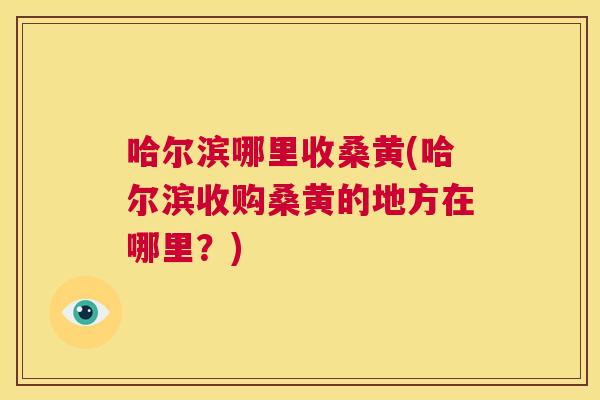 哈尔滨哪里收桑黄(哈尔滨收购桑黄的地方在哪里？)