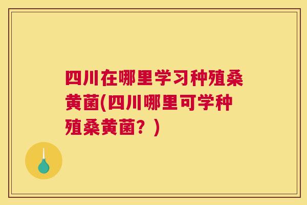 四川在哪里学习种殖桑黄菌(四川哪里可学种殖桑黄菌?) 四川在哪里学习种殖桑黄菌(四川哪里可学种殖桑黄菌?)