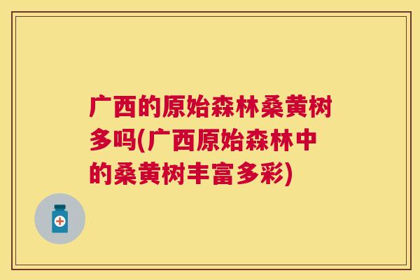 广西的原始森林桑黄树多吗(广西原始森林中的桑黄树丰富多彩) 广西的原始森林桑黄树多吗(广西原始森林中的桑黄树丰富多彩)