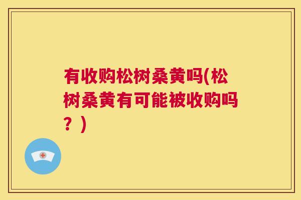 有收购松树桑黄吗(松树桑黄有可能被收购吗?) 有收购松树桑黄吗(松树桑黄有可能被收购吗?)