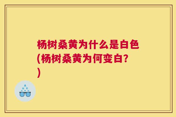 杨树桑黄为什么是白色(杨树桑黄为何变白?) 杨树桑黄为什么是白色(杨树桑黄为何变白?)