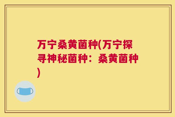 万宁桑黄菌种(万宁探寻神秘菌种:桑黄菌种) 万宁桑黄菌种(万宁探寻神秘菌种:桑黄菌种)