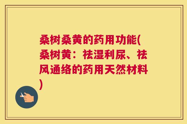 桑树桑黄的药用功能(桑树黄:祛湿利尿、祛风通络的药用天然材料) 桑树桑黄的药用功能(桑树黄:祛湿利尿、祛风通络的药用天然材料)