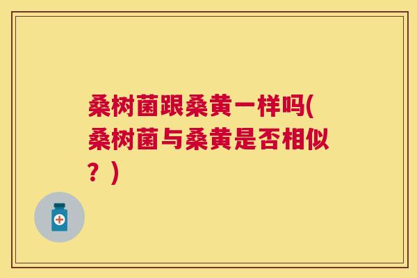 桑树菌跟桑黄一样吗(桑树菌与桑黄是否相似?) 桑树菌跟桑黄一样吗(桑树菌与桑黄是否相似?)