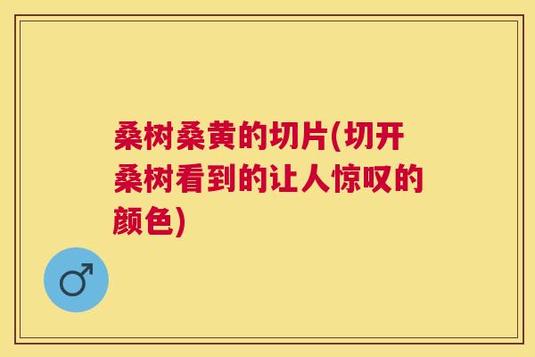 桑树桑黄的切片(切开桑树看到的让人惊叹的颜色) 桑树桑黄的切片(切开桑树看到的让人惊叹的颜色)